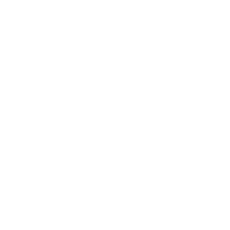 Website Icon